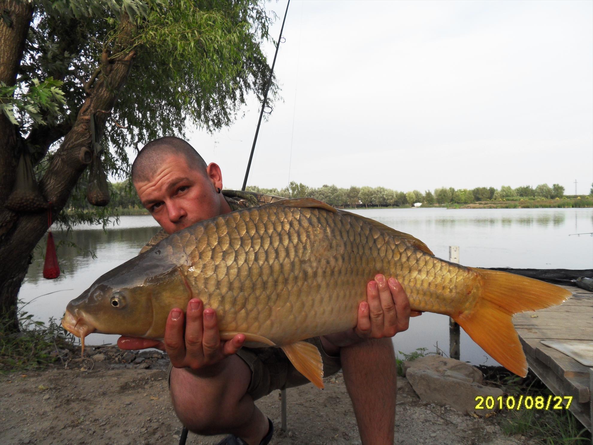 Nagykallo 2010 - nagykallo-99.JPG